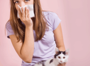 Pametna rješenja za dom koji smanjuje simptome alergije